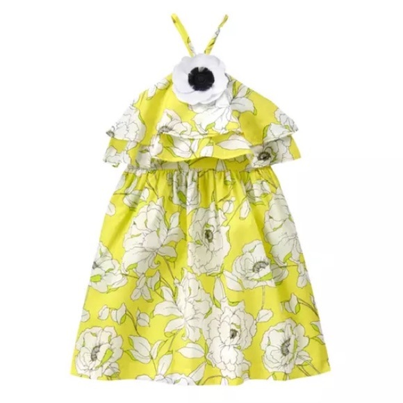 Janie and Jack Other - Janie and Jack Glow Lemonade Bloom Floral Ruffle Dress, Size 3-6M